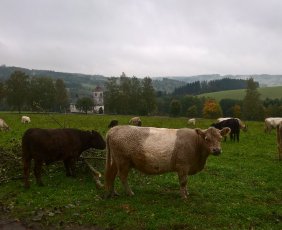 Okoliczne gospodarstwo