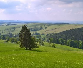 Vysoký Kořen