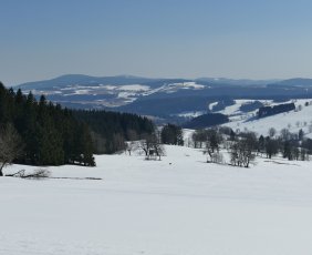 Pohled na Suchý vrch a Bukovskou hornatinu